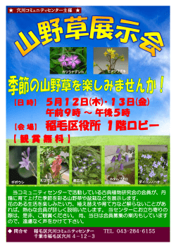 H280512-13 山野草展示会ポスター