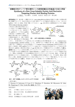核酸結合性タンパク質を標的とした新規架橋反応性塩基の合成と評価