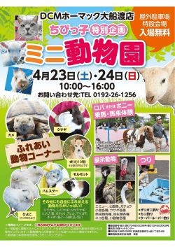 フル ページ写真