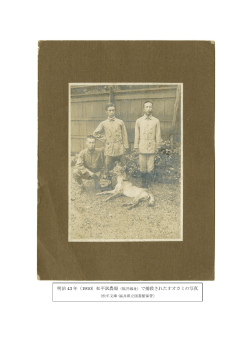 明治 43 年（1910）松平試農場 （福井城址）で捕殺されたオオカミの写真