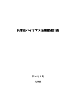 計画本文（PDF：875KB）
