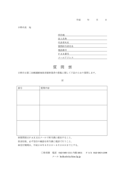 質問票 [76KB pdfファイル]