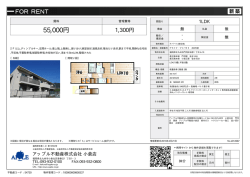 資料PDF - アップル不動産