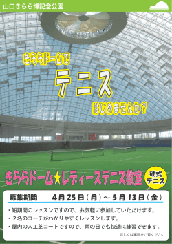 レディーステニス教室 （PDF : 346KB）
