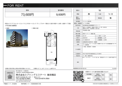 資料PDF - スプリングエステート
