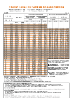 平成28年4月分 - 全国健康保険協会