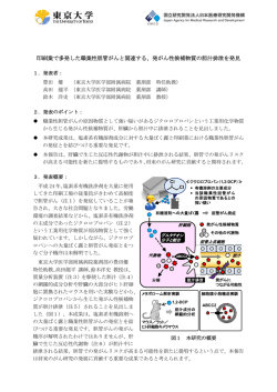 リリース文書［PDF：328KB］