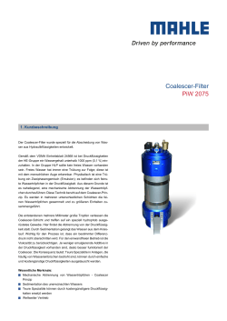 Coalescer-Filter PiW 2075