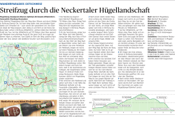 Jetzt herunterladen! - St. Galler Tagblatt