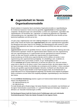 Jugendarbeit im Verein - Organisationsmodelle