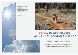 REDD+ in der Praxis