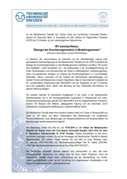 W1-Juniorprofessur "Biologie der