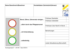 Pflegeampel/ Mundhygieneplan (1 Formular pro Seite)