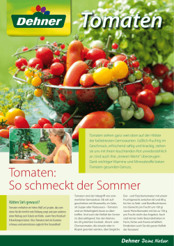 Tomaten - Dehner