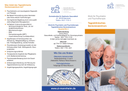 Flyer - Zentralinstitut für Seelische Gesundheit