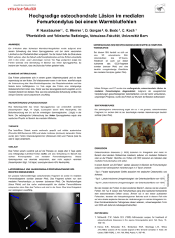 Hochgradige osteochondrale L&auml;sion im medialen