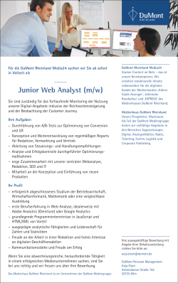 Junior Web Analyst (m/w)