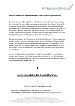 Leistungskatalog für GmbH-Geschäftsführer in Trennungssituationen