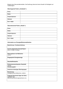 Dokumentationsblatt