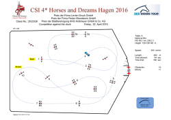 Parcours - reitturniere