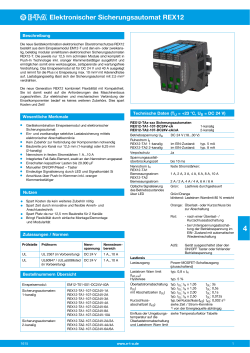 Elektronischer Sicherungsautomat REX12 - e-T-A