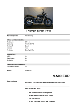 Detailansicht Triumph Street Twin