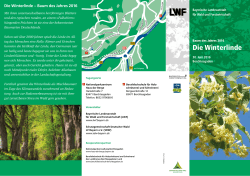 Die Winterlinde - Bayerische Landesanstalt für Wald und