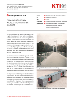 einbau von tilgern im wilhelm-kaufmann-steg salzburg