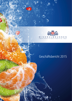 Jahresabschluss 2015