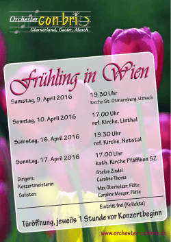Flyer und Programm - Orchester con brio
