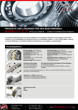 Infoflyer - Lutz Rogalla GmbH