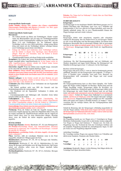 D_WFB CE Kislev v0.1 - Weiss Blaue Strategen