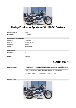 Detailansicht Harley-Davidson Sportster XL 1200C