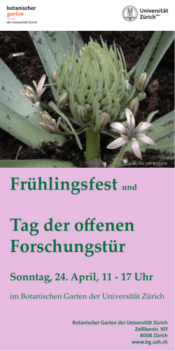 Flyer - Botanischer Garten