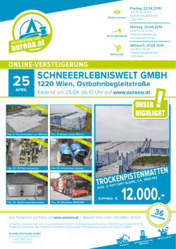 Flyer Schneeerlebnis - Aurena Auktionen GmbH