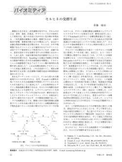 モルヒネの発酵生産