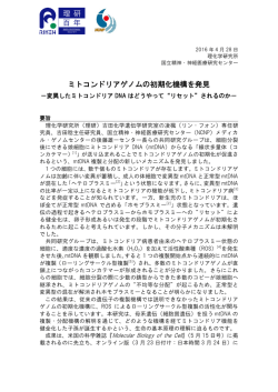 ミトコンドリアゲノムの初期化機構を発見