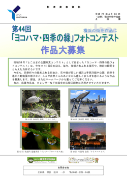 ヨコハマ・四季の緑 - 横浜市緑の協会