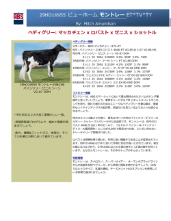 詳細を見る