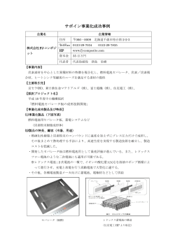 サポイン事業化成功事例