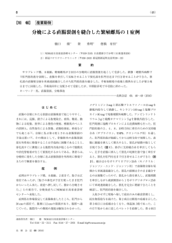 分 による直腸裂創を縫合した繁殖雌馬の 症例