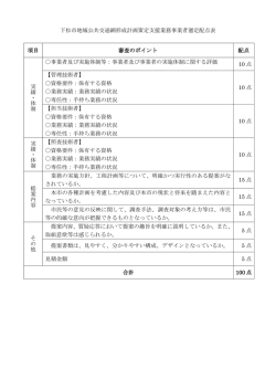 下松市地域公共交通網形成計画策定支援業務事業者選定配点表 項目