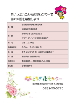 一緒に働く仲間を募集しています。