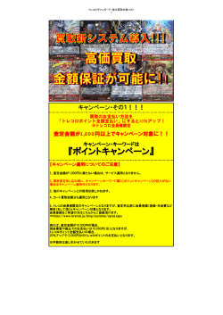 ヴァンガード（PDFファイル）