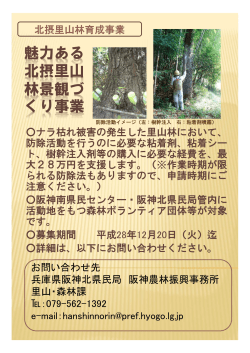 北摂里山林育成事業（PDF：289KB）