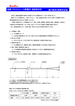 金鉄-クロメルシース熱電対・温度表示計