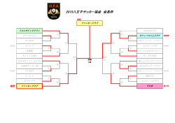 2015八王子サッカー協会 会長杯