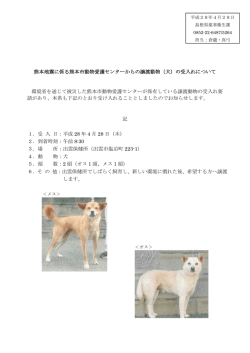 熊本地震に係る熊本市動物愛護センターからの譲渡動物（犬）の受入れ