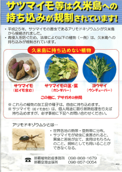 サツマイモ等は久米島への持ち込みが規制されています！[PDF：185KB]