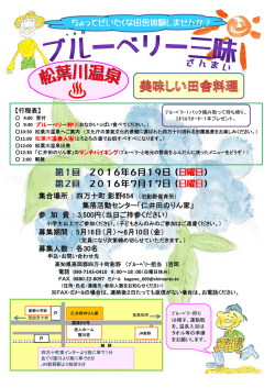 詳細のPDF